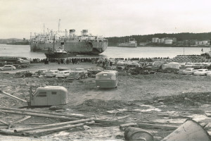 Bilde av Thorøya - hjemkomst 1956